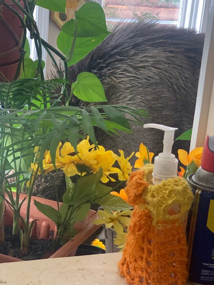 Facebook: @barbara.nickels.3