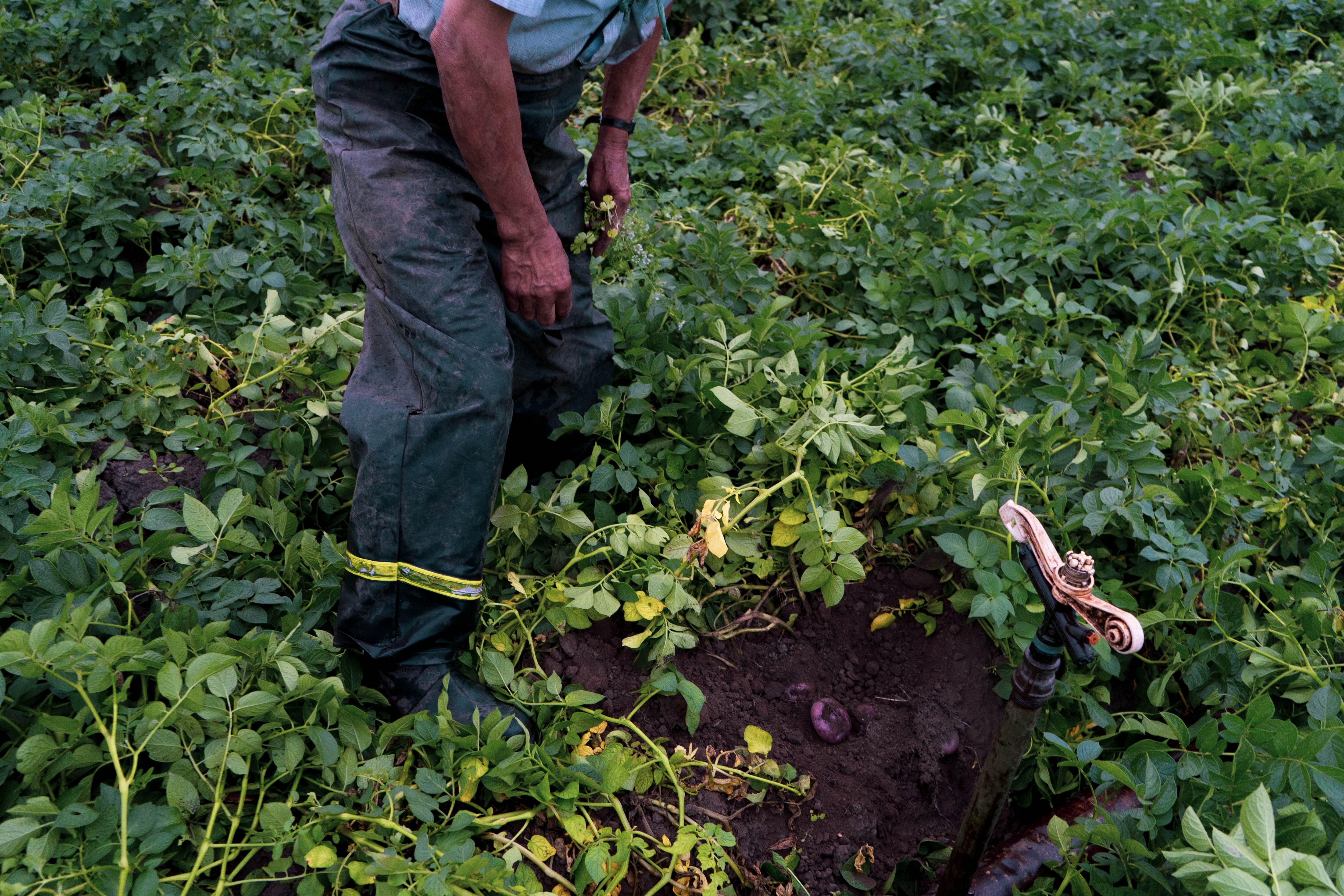Esta población es destacada por sus actividades agrícolas.