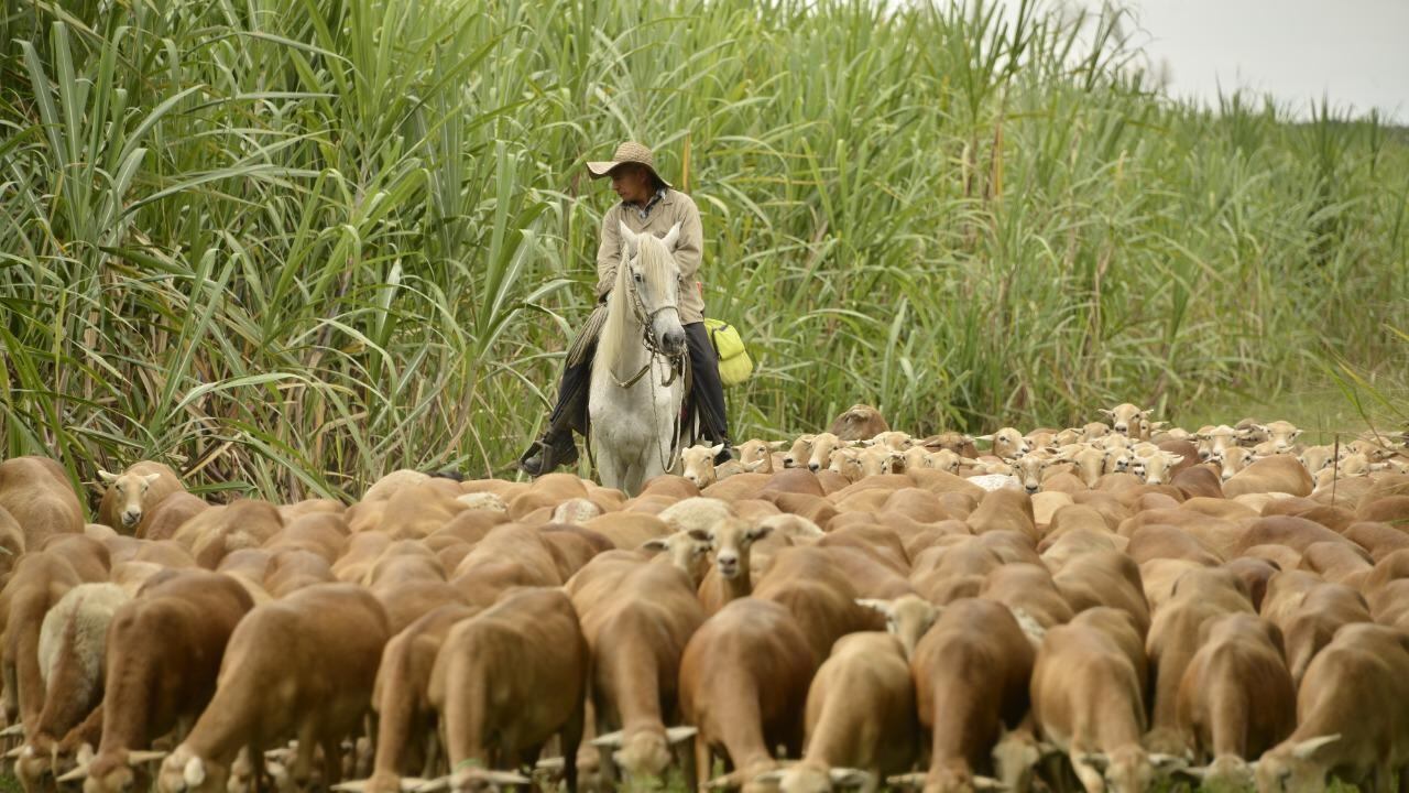 Reserva natural Hatico, en el Valle del Cauca.