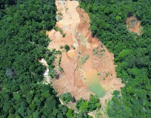 Destruyen laboratorio de droga en el Putumayo