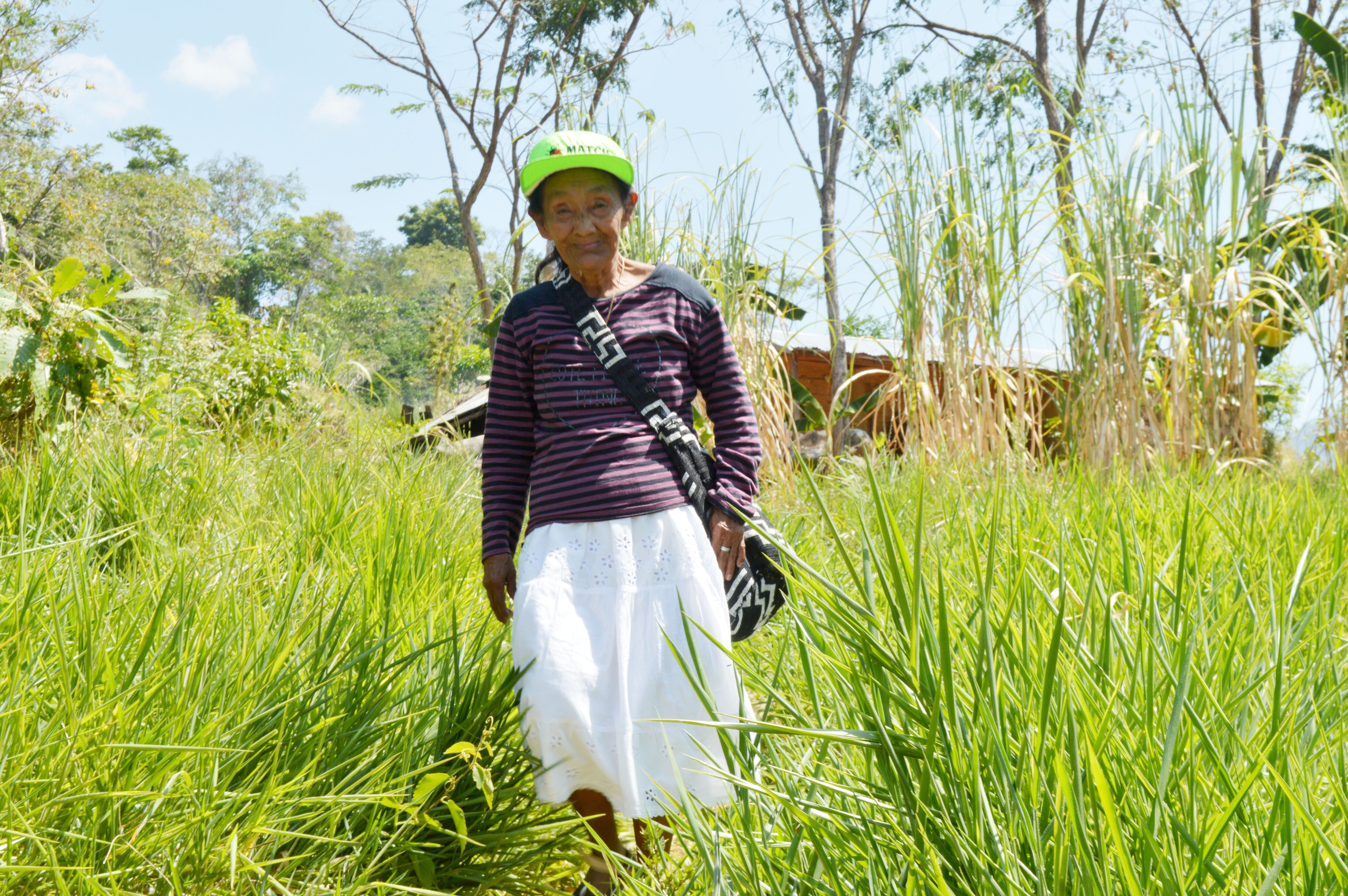 Solo el 23,5 por ciento de la población habla y entiende la lengua lengua ette taara, la mayoría son ancianos y líderes de la comunidad.
