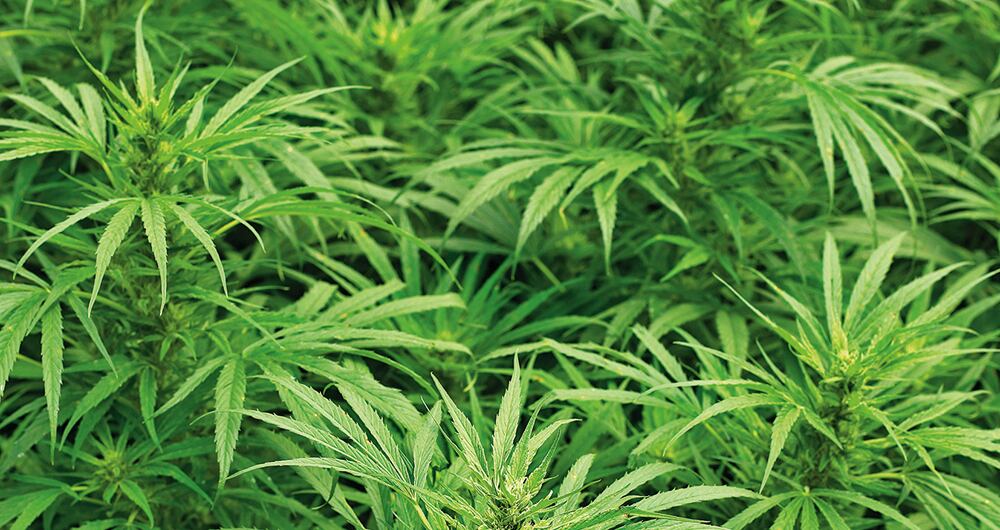 El Magdalena Medio enfrenta una crisis de seguridad porque los grupos ilegales se quieren adueñar de este corredor estratégico para mover cocaína, armamento y oro. 