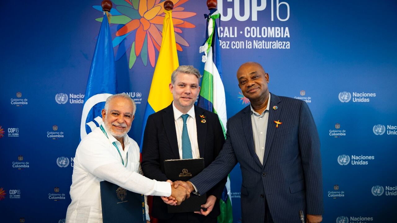 La Asociación de Estados del Caribe (AEC) y Worldview International Foundation (WIF) firmaron un manifiesto de interés para desarrollar proyectos de restauración de ecosistemas de manglar del Gran Caribe.