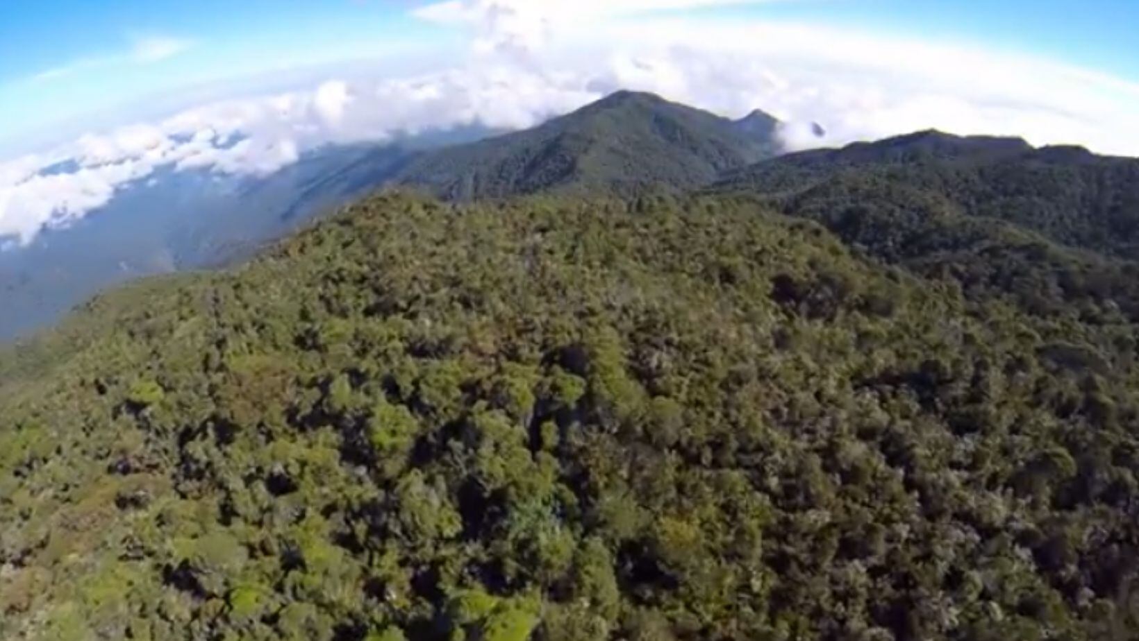 Parque Nacional Natural Farallones de Cali: actividades imperdibles para disfrutar en este atractivo turístico