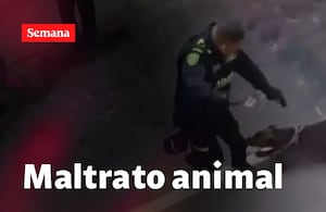 Denuncian al policía que disparó contra un perro en Antioquia