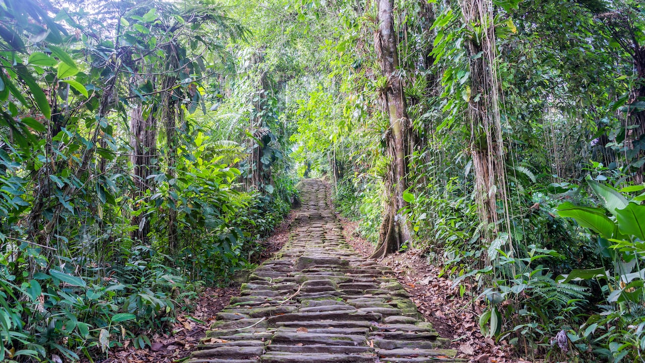 Ciudad Perdida cuenta con un complejo sistema de construcciones, caminos empedrados, escaleras y muros que se intercomunican por terrazas donde se construyeron centros ceremoniales y casas. Se calcula que en total son 150 hectáreas, en las cuales se pueden encontrar hasta 169 terrazas de piedra. Debido a su carácter arqueológico, este lugar es administrado por el Instituto Colombiano de Antropología e Historia (ICANH) como Parque Arqueológico Nacional.