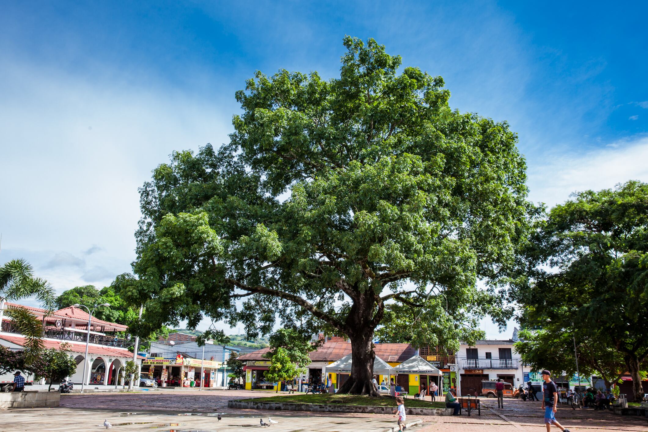 Plaza José Celestino Mutis en Mariquita, Tolima.