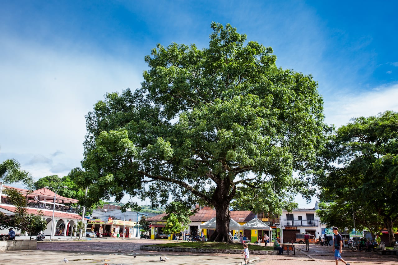 Plaza José Celestino Mutis en Mariquita, Tolima.