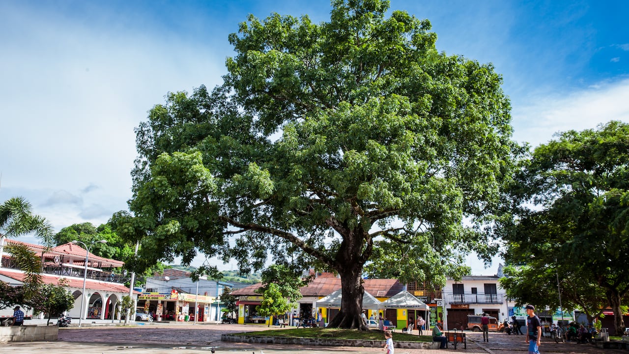Plaza José Celestino Mutis en Mariquita, Tolima.
