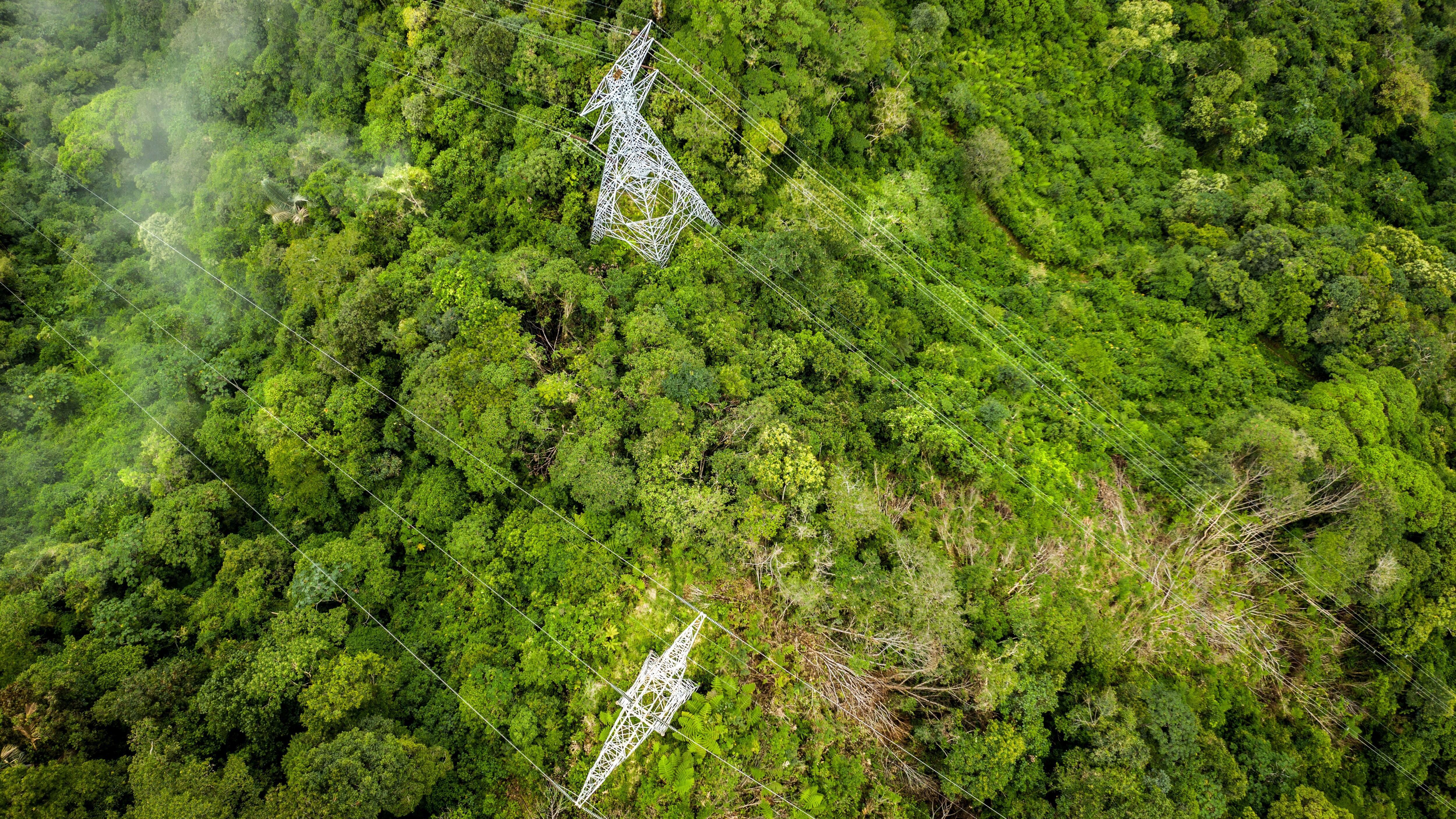 NO USAR, USO EXCLUSIVO MEJOR COLOMBIA, content GEB