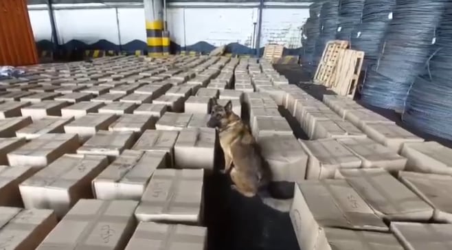 Perro antinarcóticos detectó cocaína en un cargamento de pimentón molido.