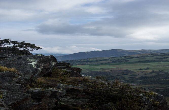 Gracias a la conciencia  que se ha generado en la sociedad, a raíz de la delimitación del Páramo, es importante  preservar las fuentes de vida y de agua naturales que nos rodean. Foto: Luigi Saenz