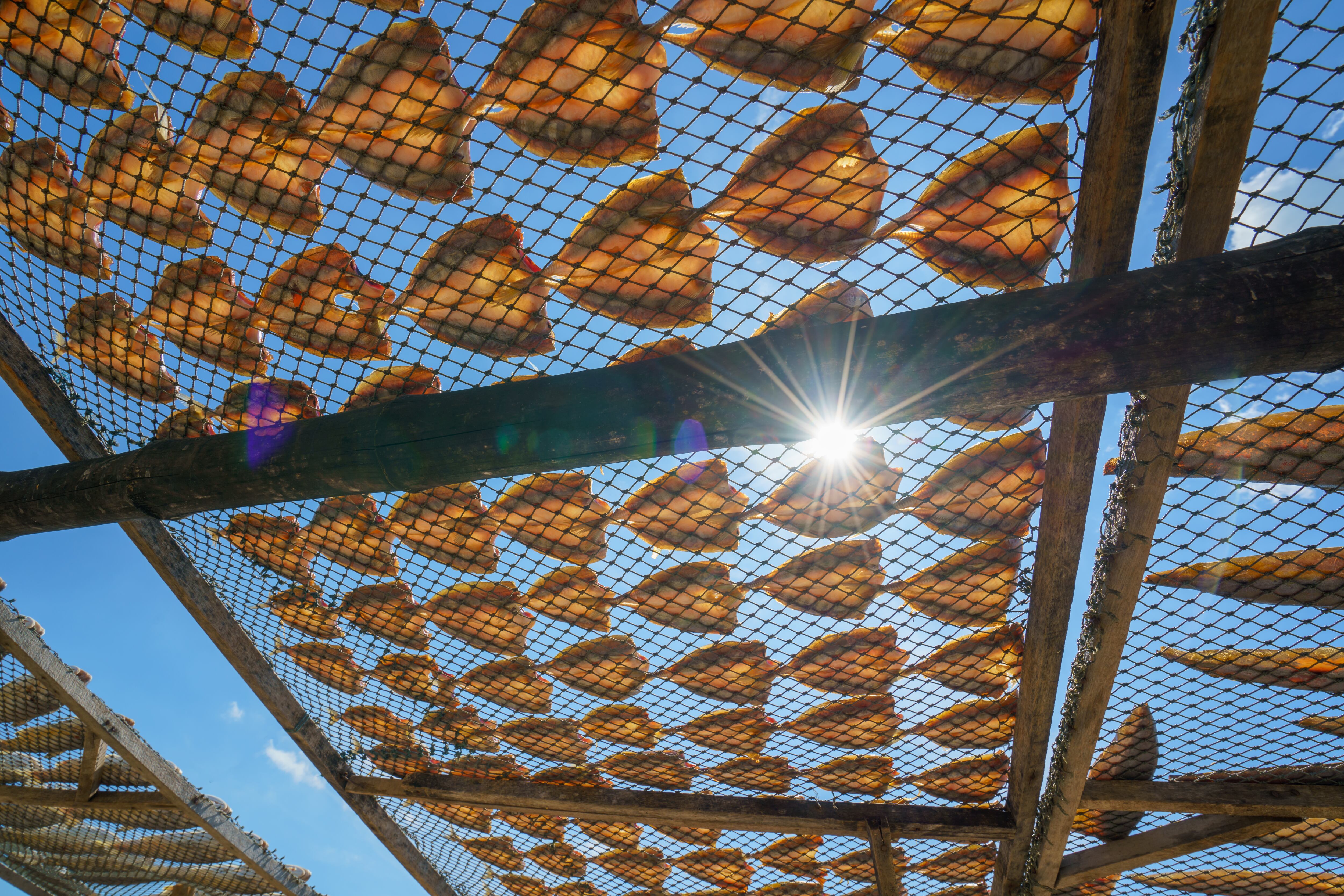 El pescado debe pasar por un buen proceso de salado y secado para que la calidad permanezca a lo largo del tiempo