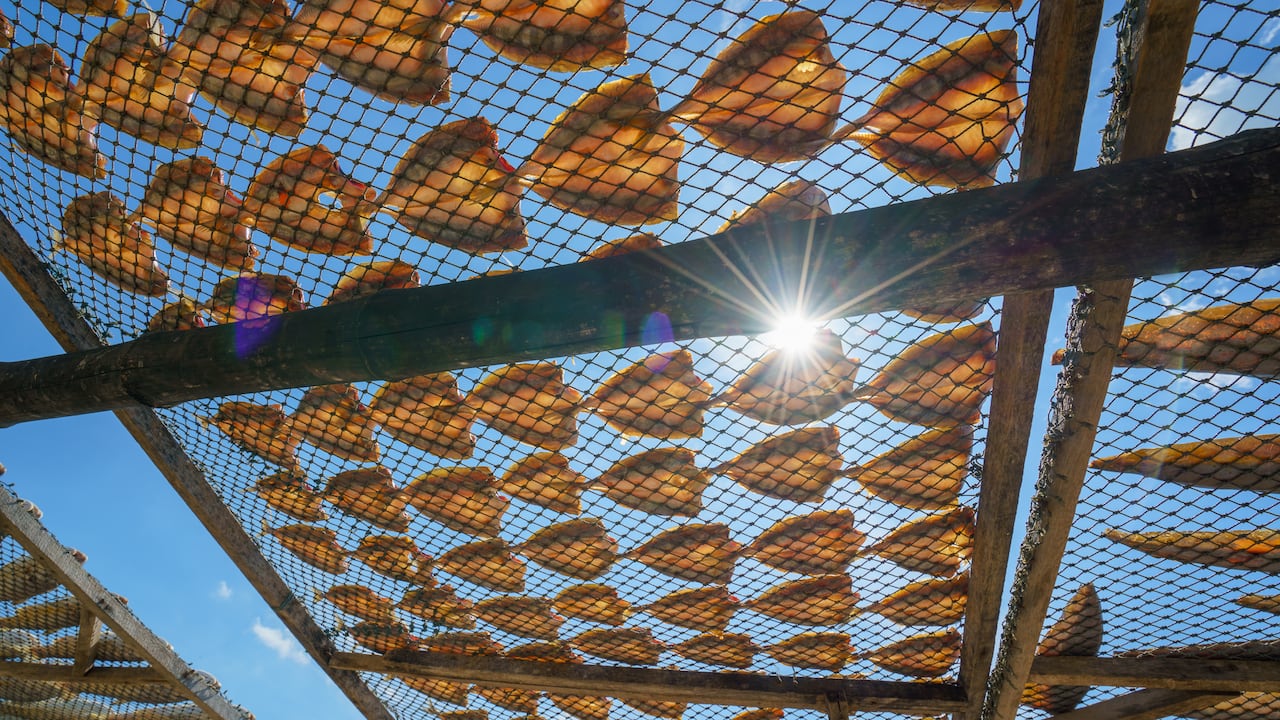 El pescado seco debe pasar por un buen proceso de salado y secado para que la calidad permanezca a lo largo del tiempo