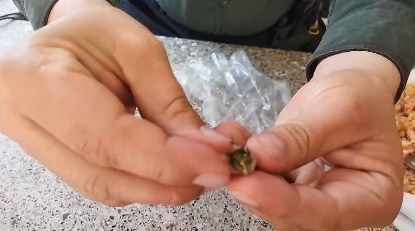 Aquí detectaron los estupefacientes.