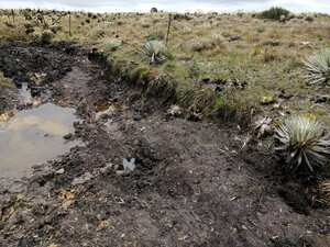 La CAR suspendió de manera inmediata las carreras clandestinas y los denominados “piques” de carros y motos en el páramo de Rabanal.