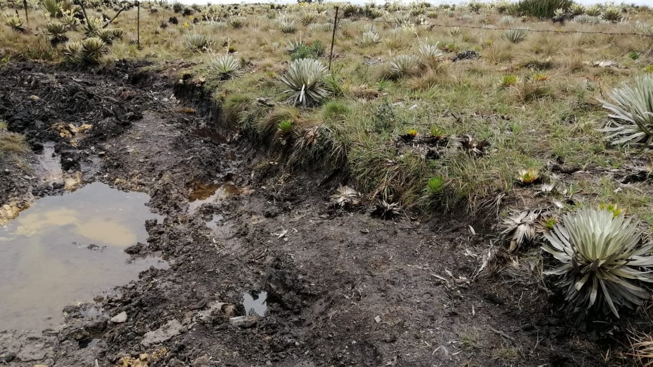 La CAR suspendió de manera inmediata las carreras clandestinas y los denominados “piques” de carros y motos en el páramo de Rabanal.