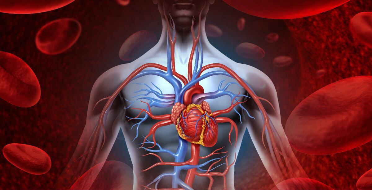 El mieloma múltiple se caracteriza por la acumulación de células cancerígenas en la médula ósea