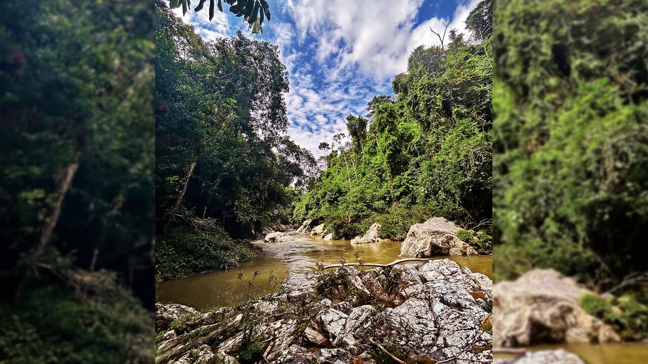 Comercial Tosh. Semana Sostenible