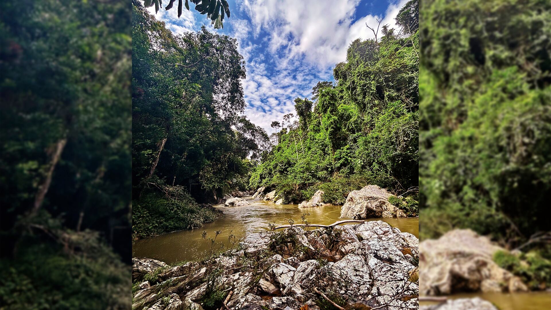 Comercial Tosh. Semana Sostenible