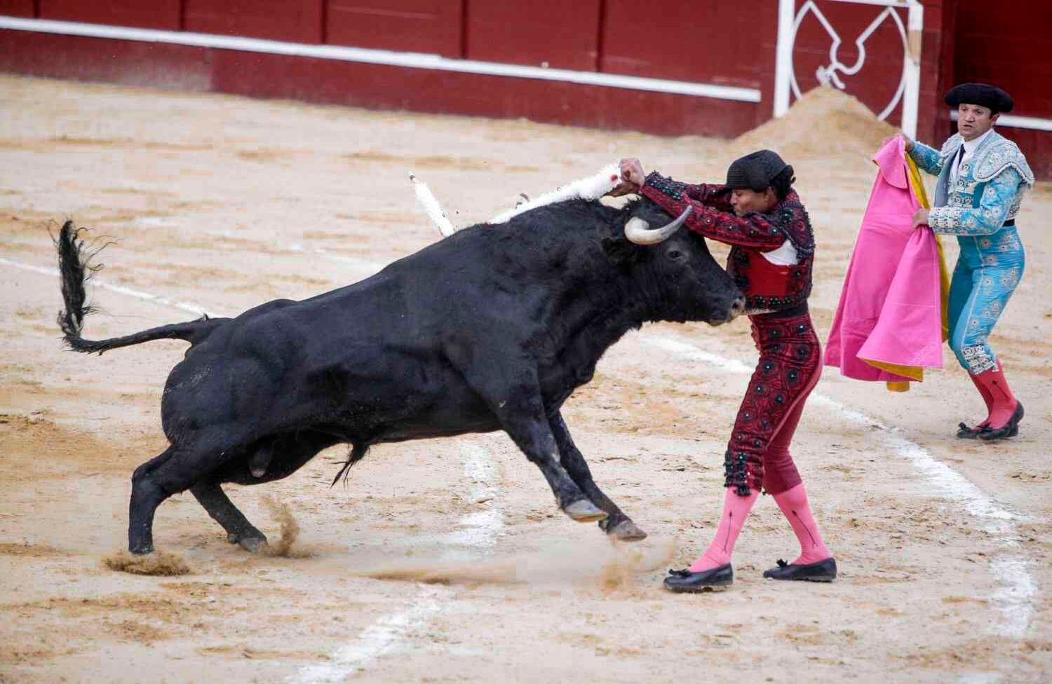 Foto: Diana Rey Melo