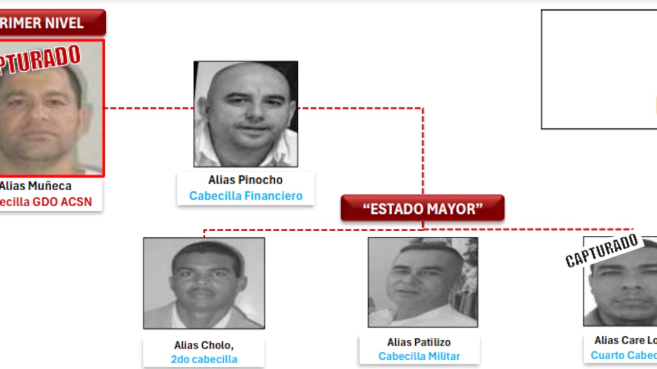 Organigrama criminal de Los Pachenca, grupo de delincuencia organizada que delinque en la Sierra Nevada de Santa Marta.
