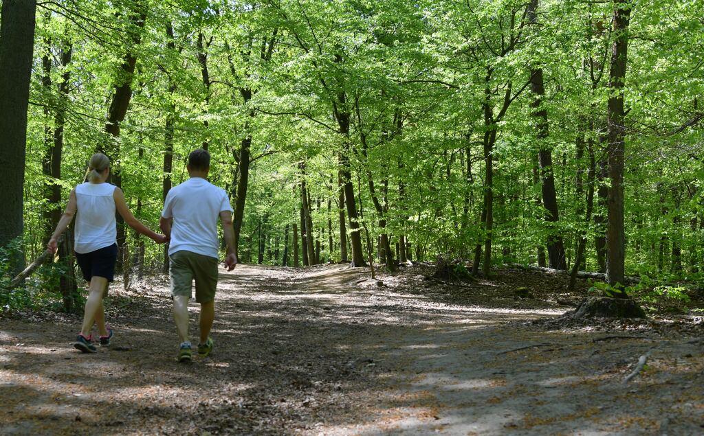 Primero de mayo de 2024 en Berlín: Una pareja camina por el bosque de Grunewald. Foto: Paul Zinken/dpa (Foto de Paul Zinken/Picture Alliance vía Getty Images)