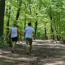 Primero de mayo de 2024 en Berlín: Una pareja camina por el bosque de Grunewald. Foto: Paul Zinken/dpa (Foto de Paul Zinken/Picture Alliance vía Getty Images)