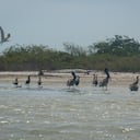 Camarones es un corregimiento en La Guajira, lleno de diversidad y lindos paisajes.