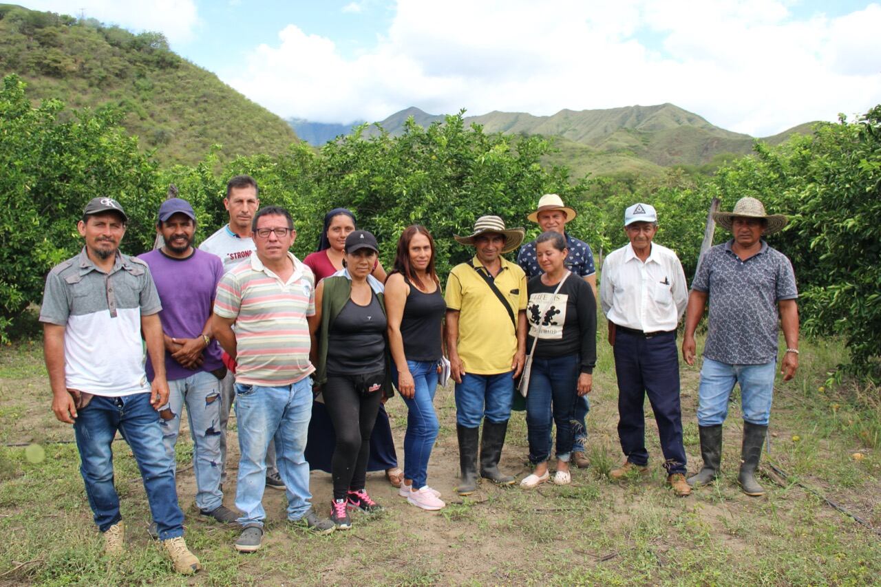 Campesinos productores de lima ácida en Nariño Foto: Prensa Fondo Europeo para la Paz
