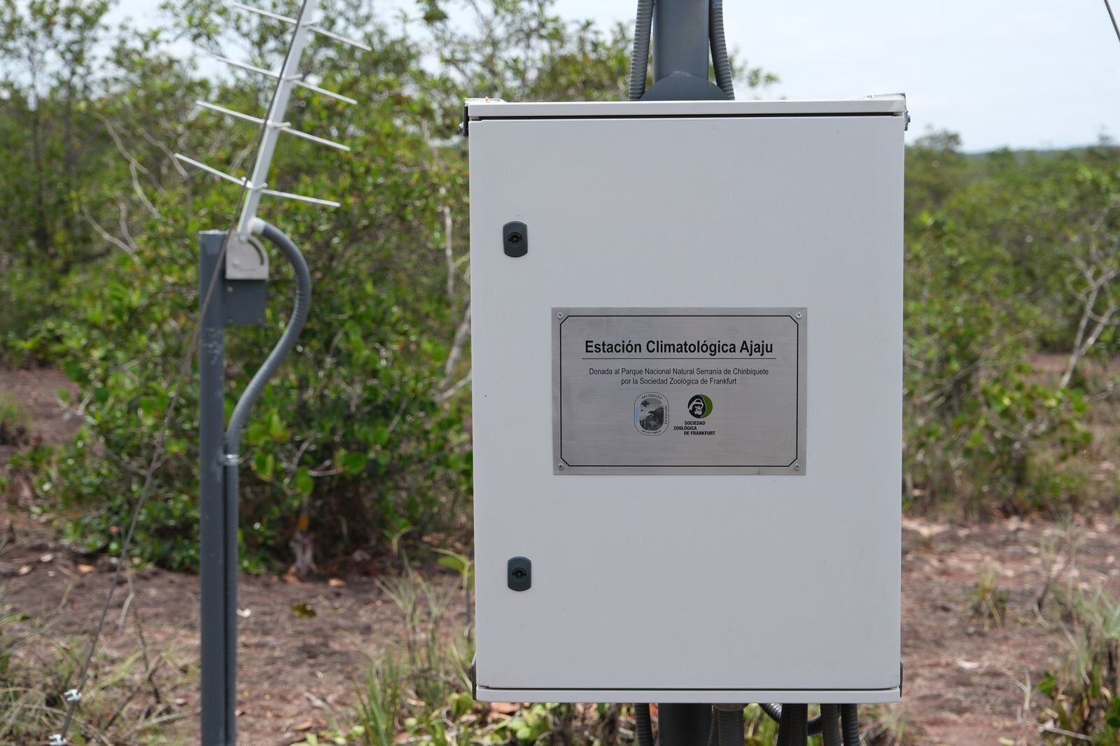 En un hito de la investigación científica y la conservación ambiental, la primera estación climatológica en el Parque Nacional Natural Serranía de Chiribiquete, conocida como “Ajaju,” ha sido exitosamente instalada en lo alto de un tepuy remoto.