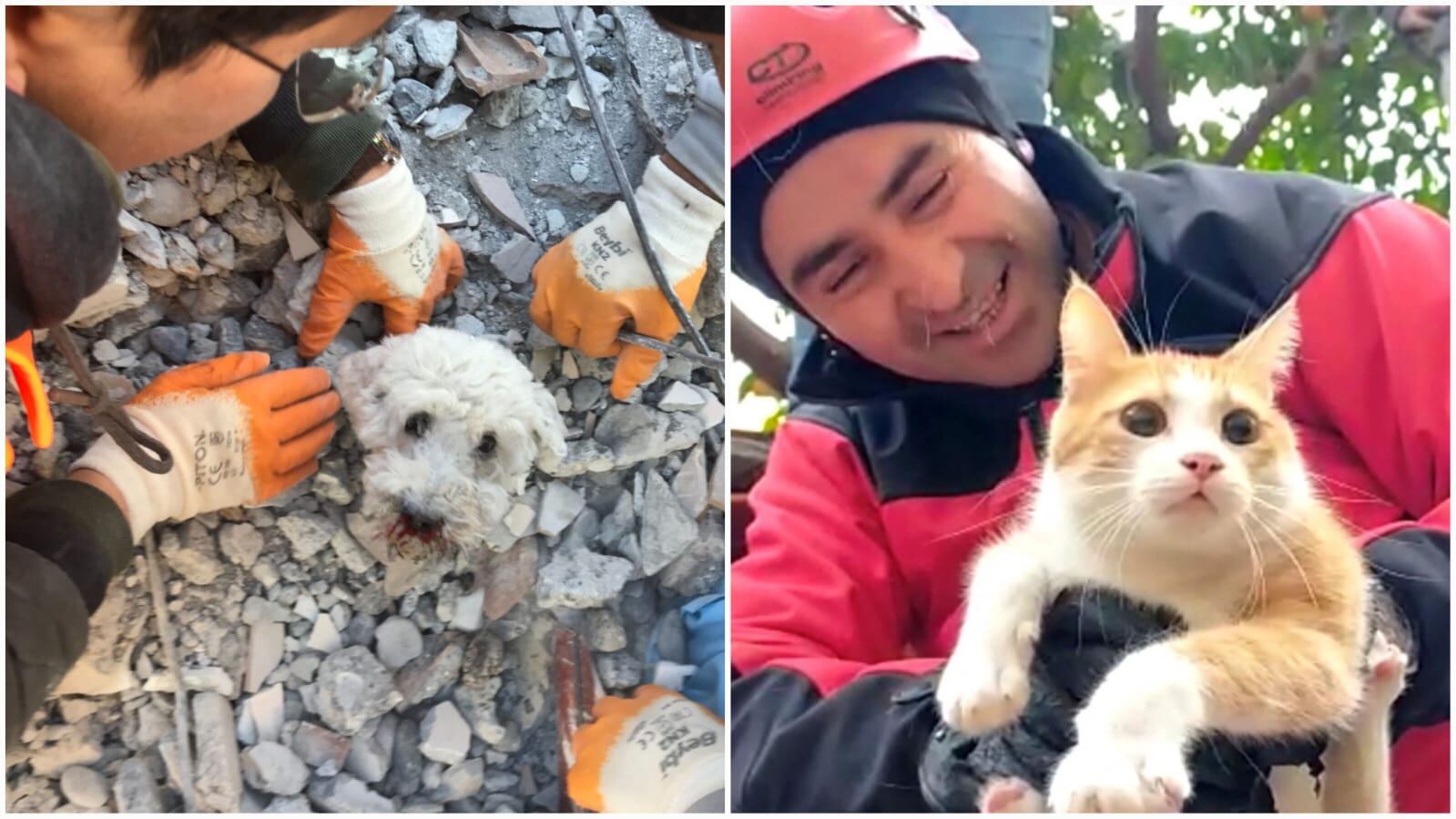 Otras víctimas del terremoto en Turquía y Siria. Se cumplen cuatro días de la tragedia.