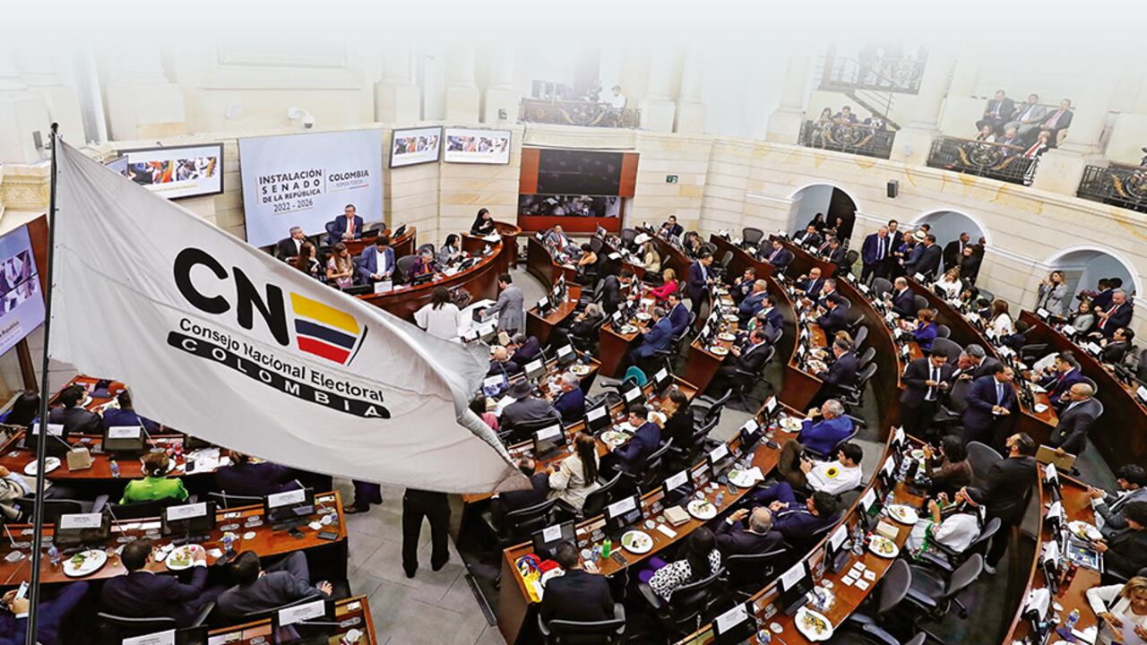 ¿Se eliminará el CNE?