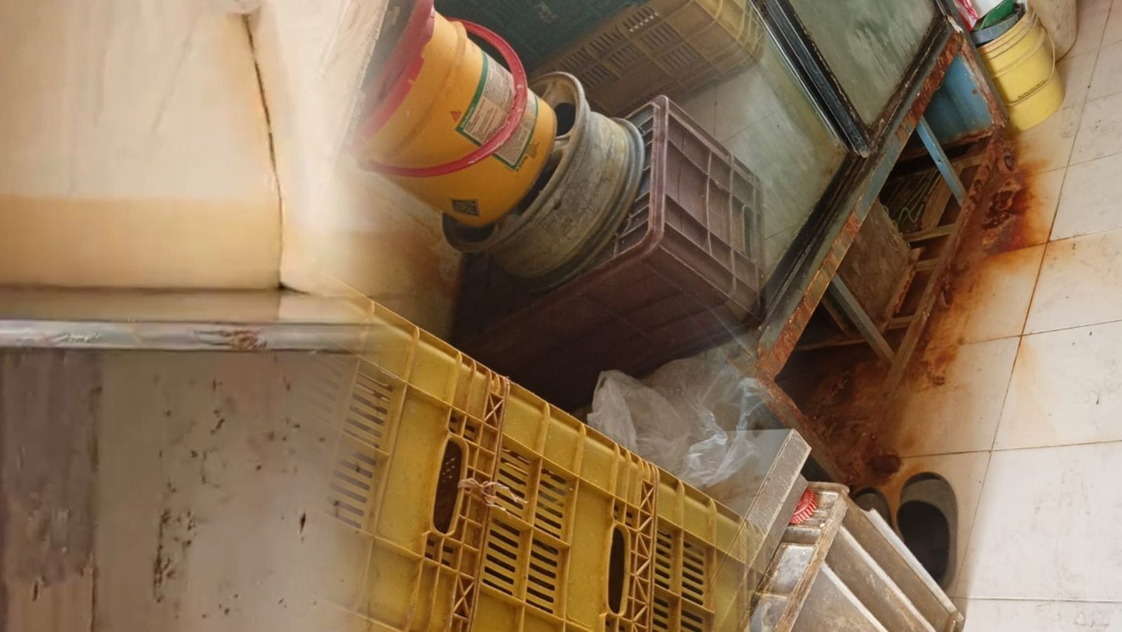 Así encontraron las autoridades el sitio donde comercializaban queso.