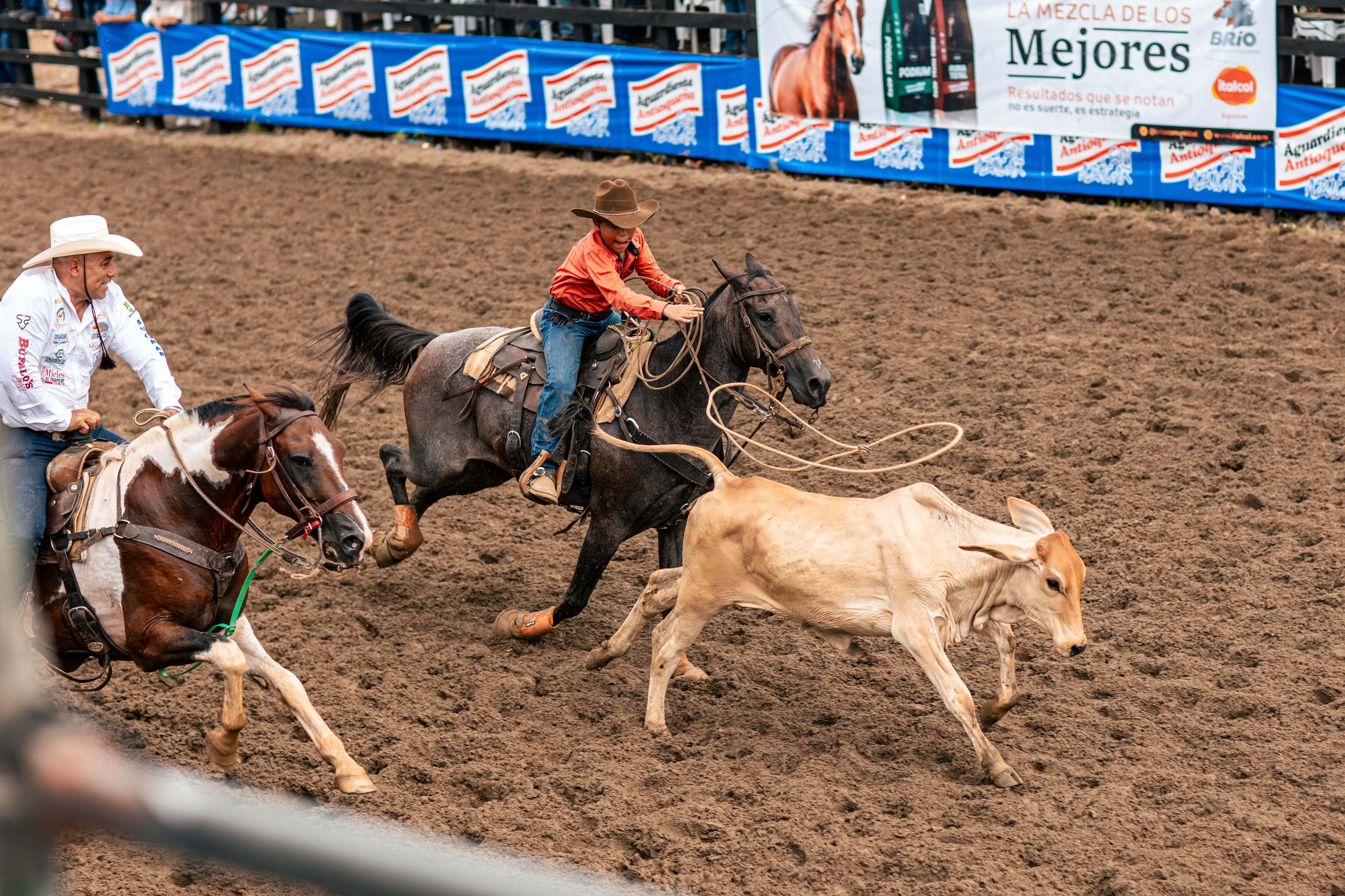 Feria Ganadera Córdoba.