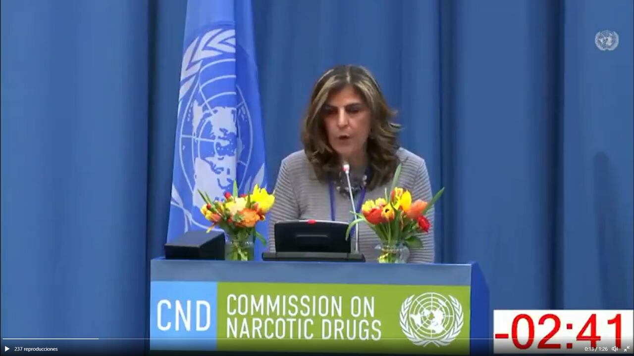 Laura Gil, viceministra de Asuntos Multilaterales de la Cancillería.