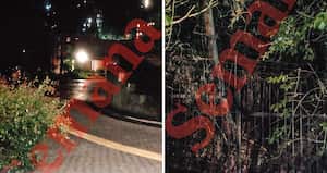 Las pruebas y fotos recolectadas por la Fiscalía dejan ver el sitio desde donde se habría realizado el disparo. En el monte se halló una estera y un trípode hechizo de madera para apuntar. La hipótesis de un francotirador se podría derrumbar por el tipo de arma, pero es claro que quien ejecutó el crimen era una persona entrenada que pudo tener un cómplice en la casa.