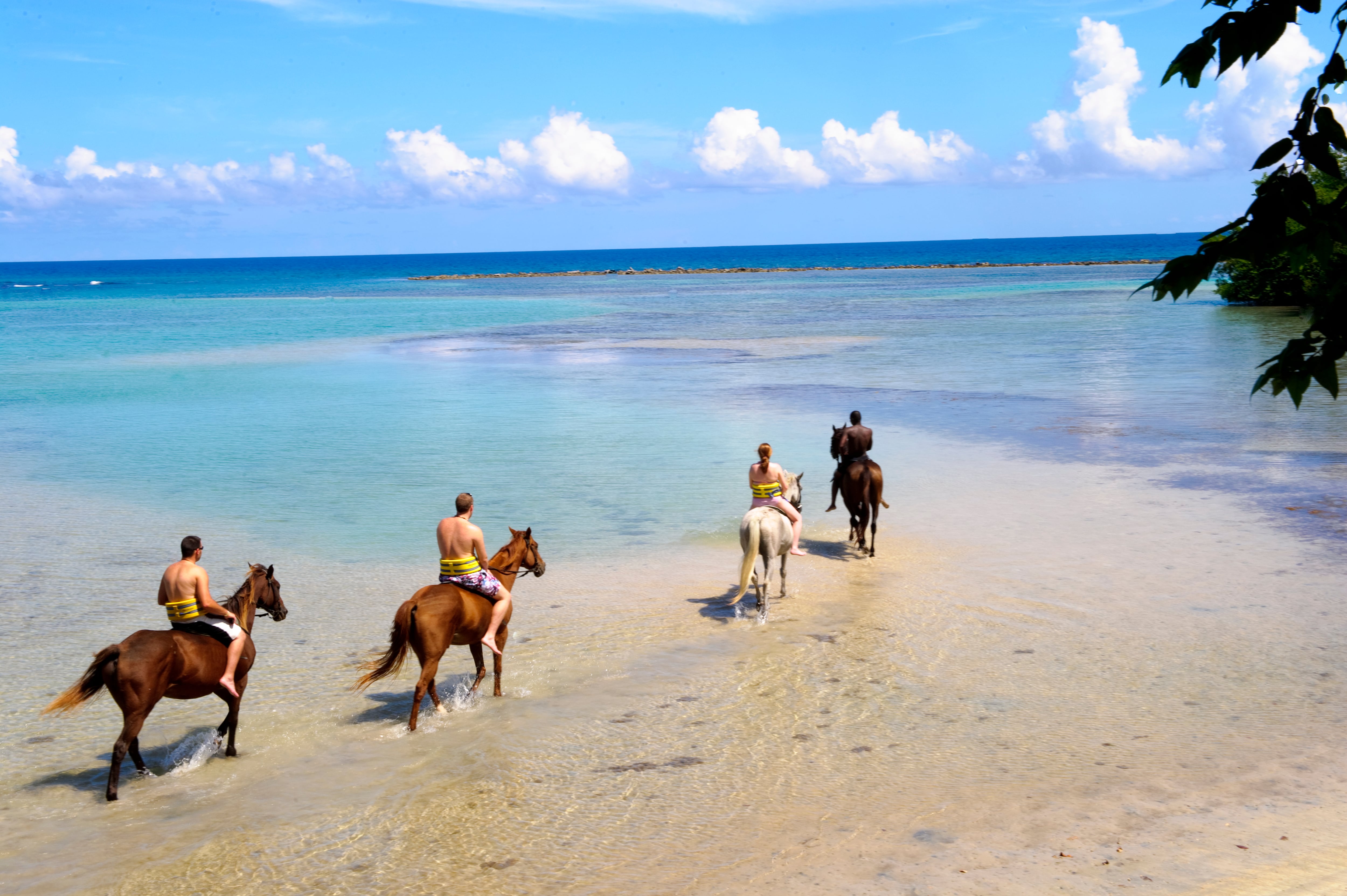 Las mejores aventuras las podrá vivir en Jamaica