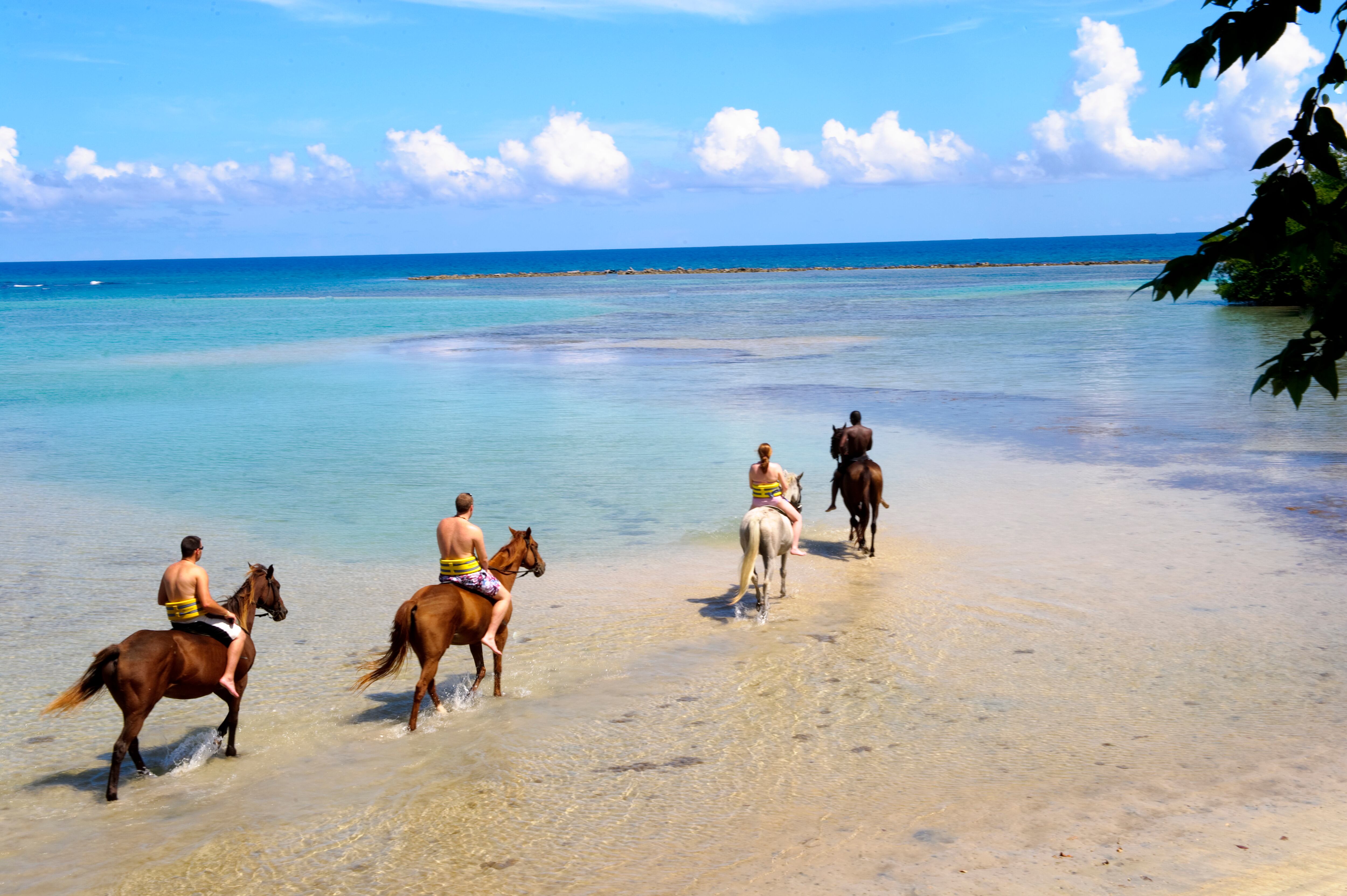 Las mejores aventuras las podrá vivir en Jamaica