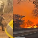 El alcalde de Coello, Santiago Herrera, pidió refuerzos de bomberos, rescatistas y equipos para atender los incendios que continúan activos en el municipio.