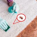 ¿Cómo eliminar los ácaros y reducir las alergias en el hogar?