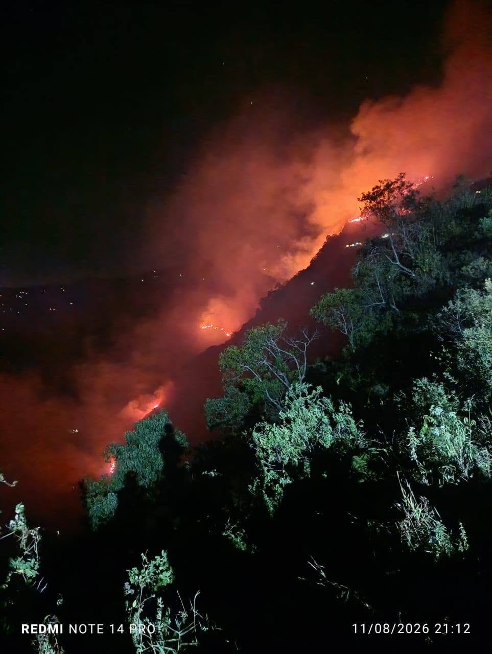 Vista aérea del epicentro del incendio, una zona boscosa de aproximadamente 30 hectáreas afectada por el fuego.