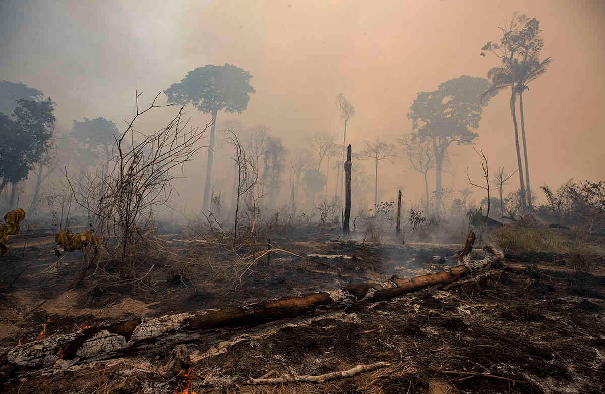 El fuego consume tierras deforestadas por ganaderos cerca de Novo Progresso, estado de Pará, Brasil, el domingo 23 de agosto de 2020. Foto: Andre Penner / AP 