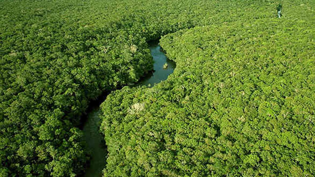 Conversaciones para proteger el medioambiente