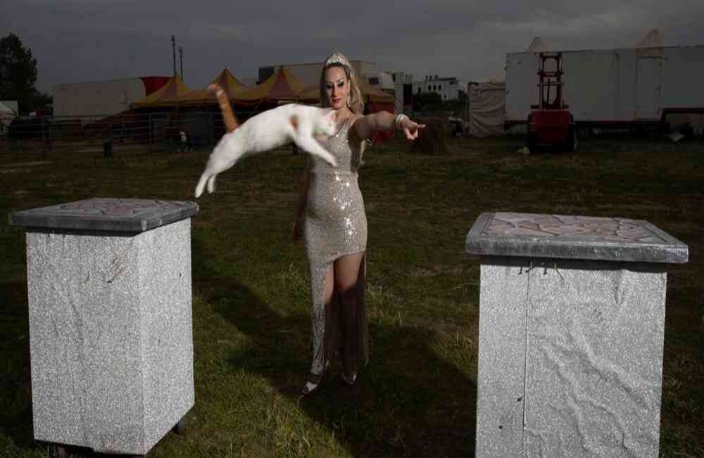 Anamaria Bud muestra su "número de gato" en el Circo Romina Orfei, estacionado en San Nicola la Strada, cerca de Nápoles, Italia. Junto con su espos, Alyn Valeriou, están pensando en abandonar el circo para abrir una granja educativa. "Pero ahora estamos atrapados aquí", dijo. AP-Alessandra Tarantino