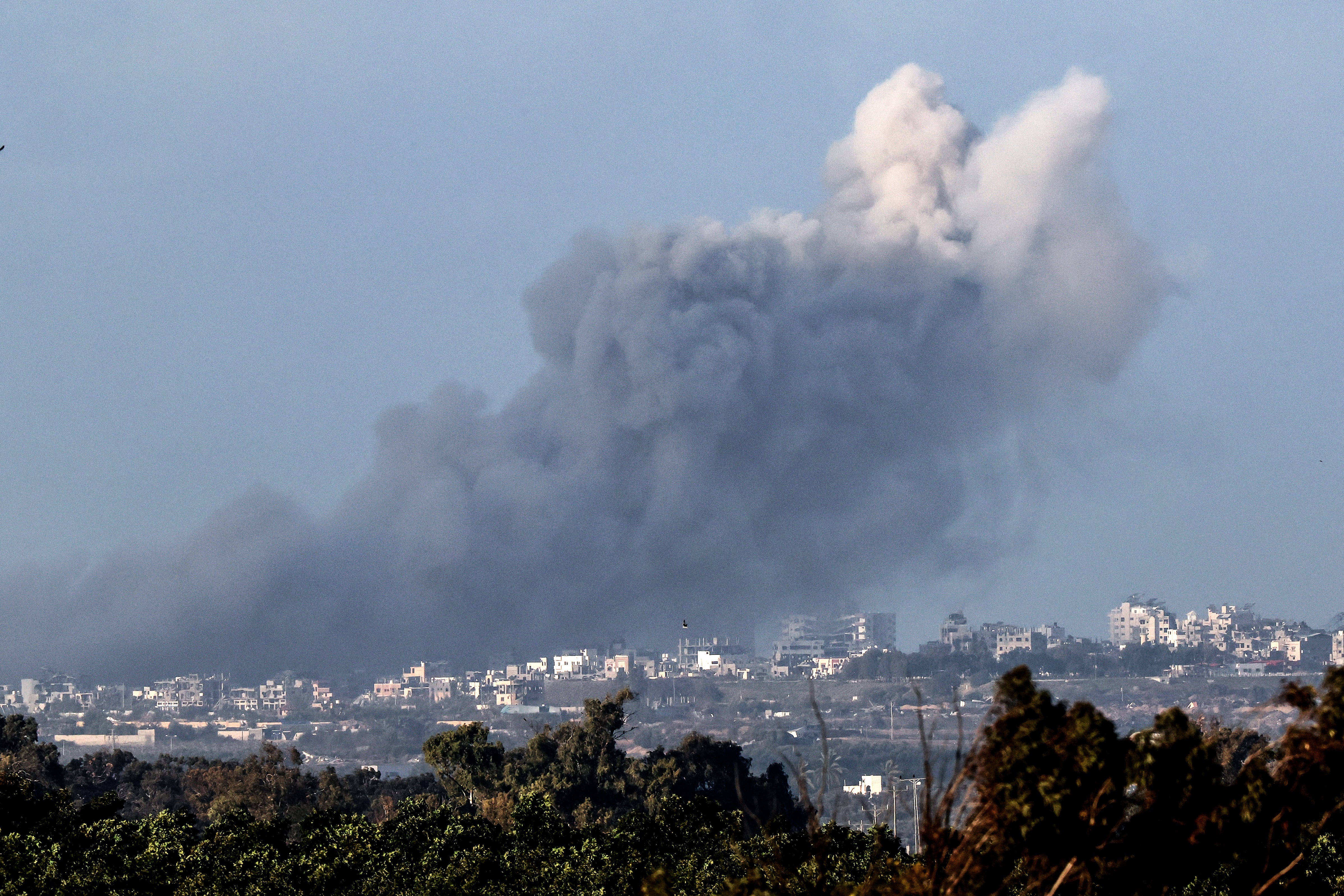 El operador de internet fue el encargado de confirmar la noticia.