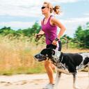 El juego con pelota o frisbee, por sencillo que parezca, es una gran alternativa a la hora de poner a prueba la capacidad física de su mascota.