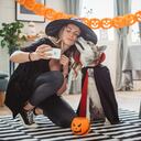 Tenga en cuenta algunas recomendaciones si decide salir con su mascota en Halloween.