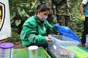La Secretaría de Ambiente informó que había liberado los animales rescatados por el Distrito.
