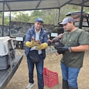 Incendios en Cundinamarca dejan 1.512 hectáreas quemadas y 11 animales muertos.